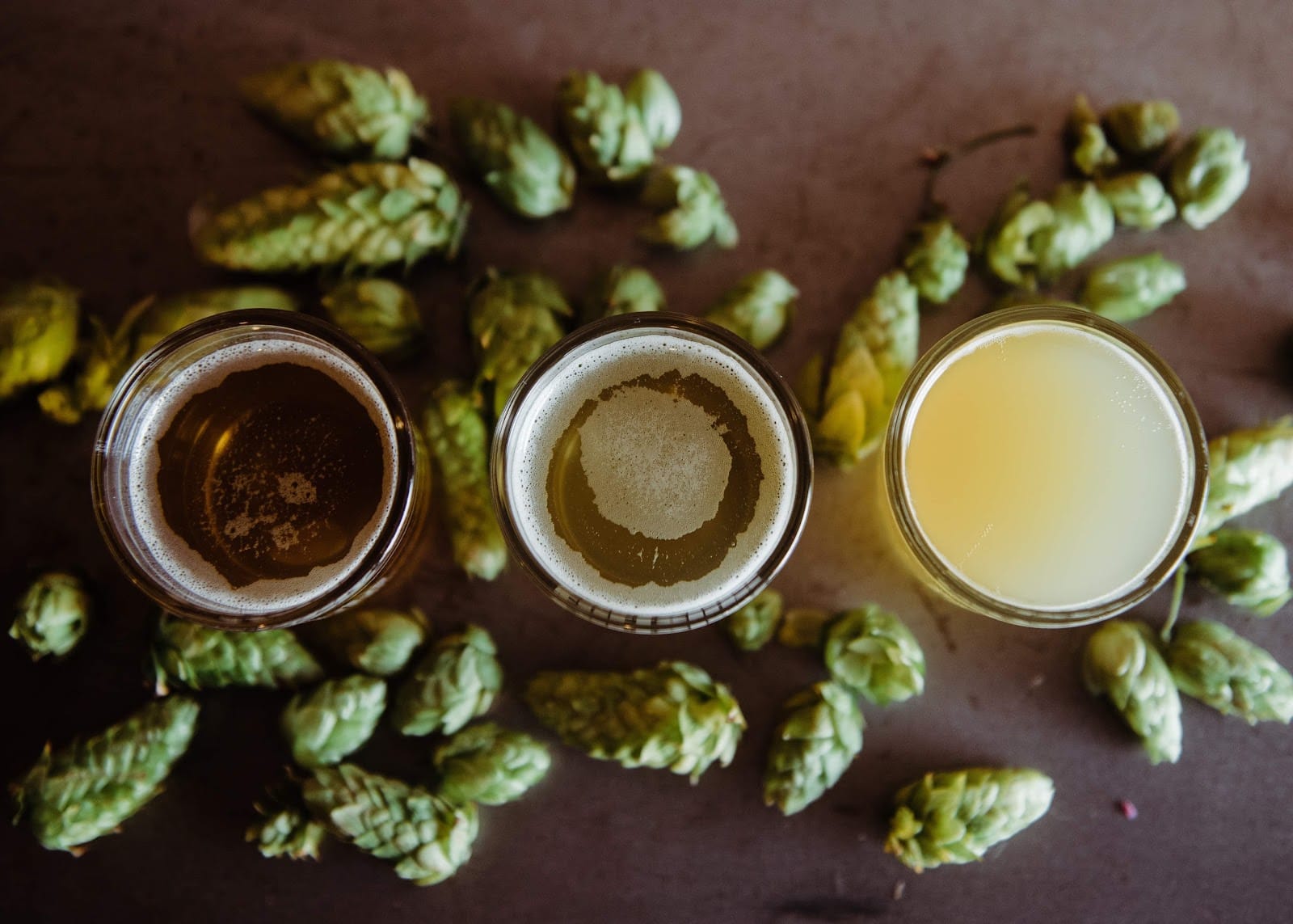 Microbrasserie Mary Malty, bar à bière à Rue de la Monaco, Tours